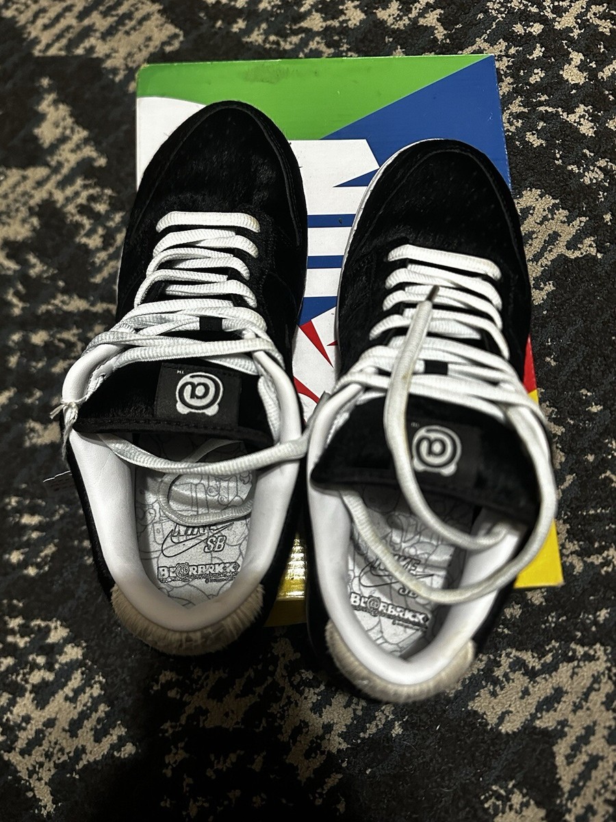 Size 11.5 - Nike Medicom Toy x Dunk SB Low BE@RBRICK