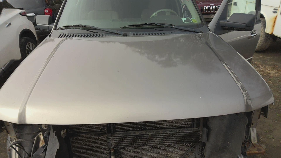 08 FORD EXPEDITION Hood Vapor Silver=zydentspaint Peel Foto 4 de 4