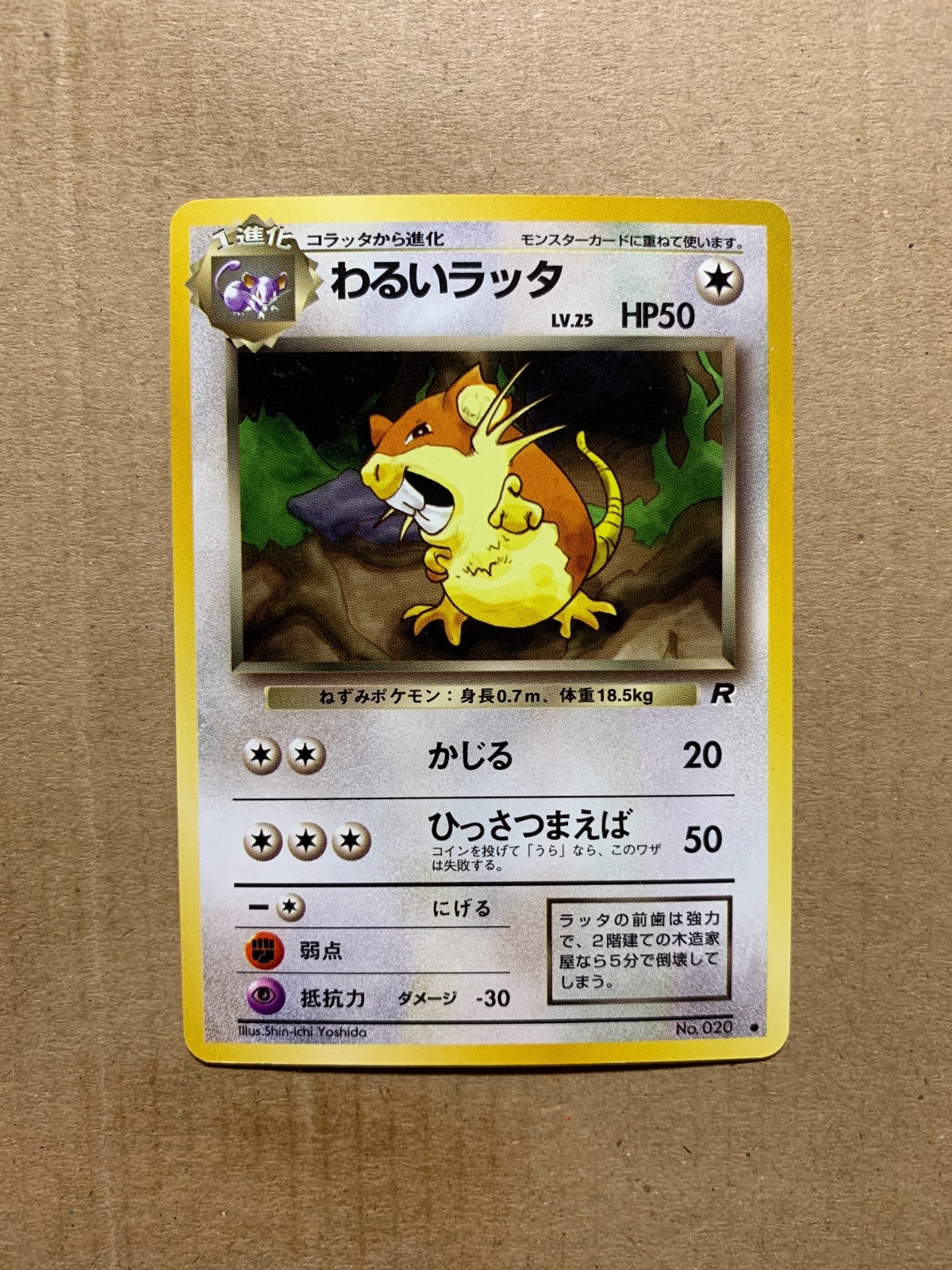 Japanese Dark Raticate No. 020 Team Rocket - Common Pokemon Card - NM/Mint