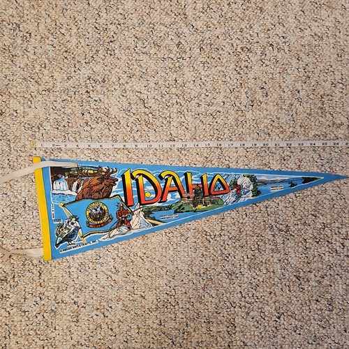 Indian Arts & Crafts Inc Idaho Souvenir Pennant Blue Felt Shoshone Falls