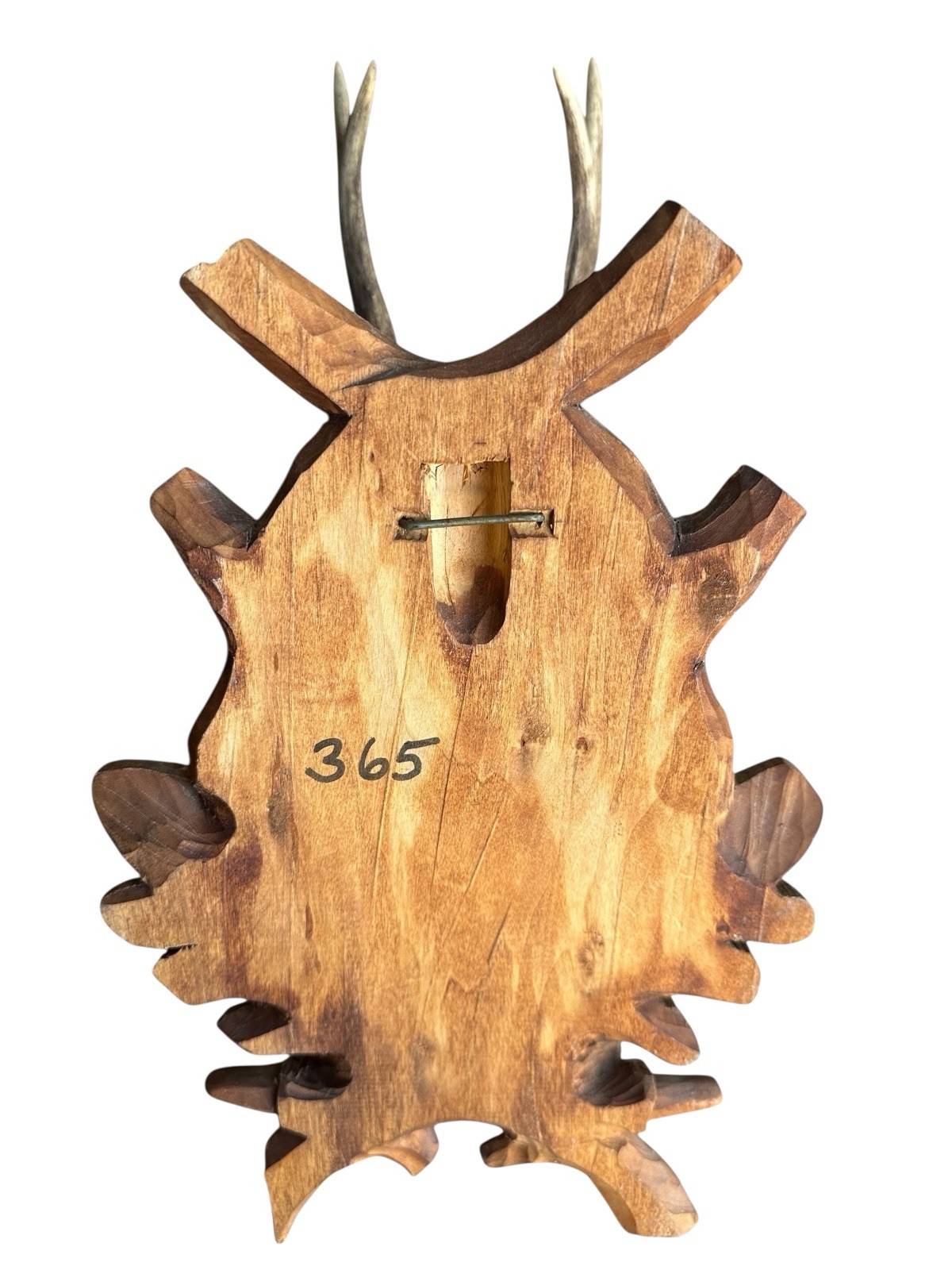 Roe Deer Trophy Black Forest Antlers rd191 Mount