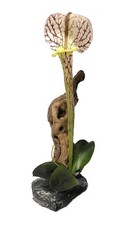 Magnatural Pitcher Plant with Driftwood PT-314 Bearded Dragon Crested Gecko R...