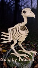 Crow Raven Skeleton Halloween Prop Decor Bird Bones 8