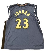 Michael Jordan Washington Wizards jersey size 40 Mens Champion blue