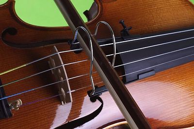 邦楽 WORD IN THE PETALS - CHERRYBOY FUNCTION Cherryboy Function – Word In The Petals – CD (Album), 2016