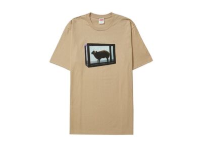 Supreme Damien Hirst Tee Khaki | eBay