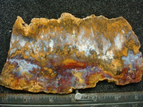 colonia enriquez slab mexico #1