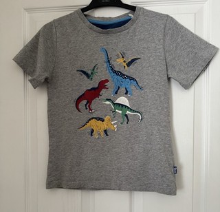 Unisex Boys Girls KITE T Shirt Top Age 9 Grey Dinosaur Motif