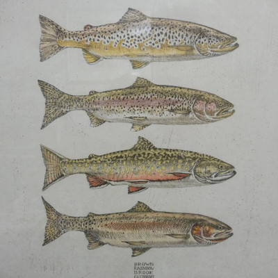 『TROUT OF THE YELLOWSTONE』byMikeStidham Trout Of The Yellowstone Bymikestidham Lure | eBay