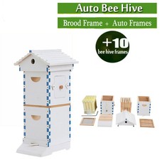 Beekeeping Box Beehive MINi House 10X Auto RUn Honey Comb Hive Frame Brood Frame