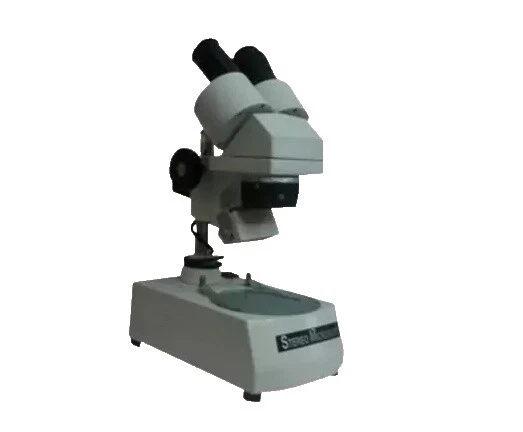 Dentistry Medical Microscopes