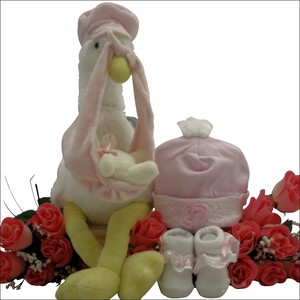 Special-Delivery-Baby-Girl-Stork-Pink-Gift-Set-Great-Arrivals-BYSG