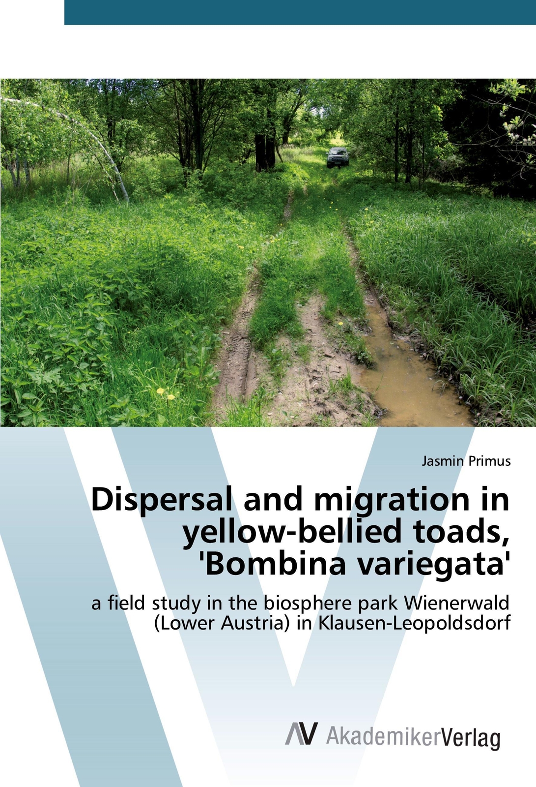 Jasmin Primus | Dispersal And Migration In Yellow-bellied Toads,