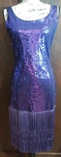 1920's Gatsby Sequin Fringed Flapper Dress Size 9  Costume Vintage Sleeveless