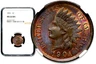 1901 Indian Head One 1 Cent - NGC MS 64 BN C1106