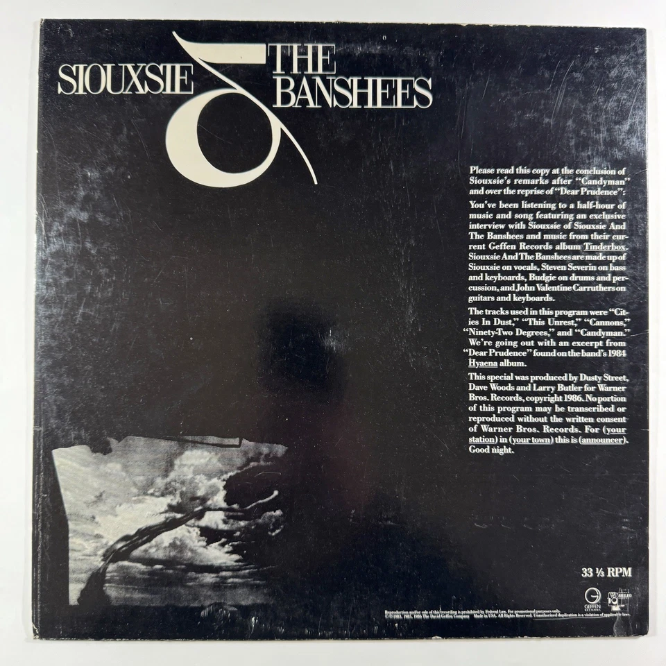 SIOUXSIE & BANSHEES: The Tinderbox Interview LP RARE DJ PROMO (M-) 1986 GEFFEN - Image 2 of 4