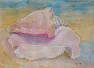 Conch 7 Shell Original Watercolor RAMfish Artist Beach Ocean 12''X 9''