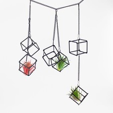 6 Pack Metal Hanging Air Plant Holders - Geometric Black Cube Tillandsia Hang...