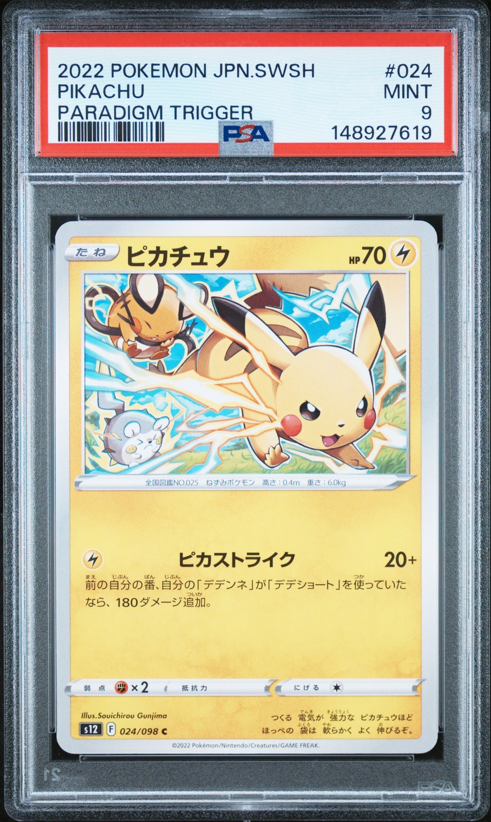 Pikachu #24