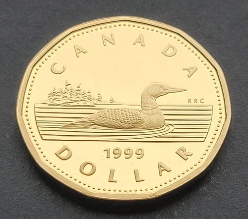 1999 Canada Loonie — photo from the most recent tracked eBay sale