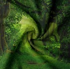 Bild 8 von 8