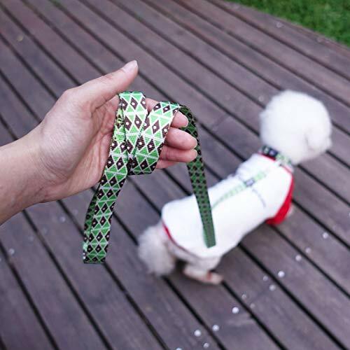 azuza Dog Collar and Leash Set Adjustable Nylon Collar with Matching Leash Gr... - Bild 7 von 7