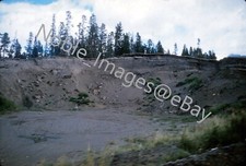 1962 Jasper Tall Pines, Mountain Tops Alberta Kodachrome 35mm Slide