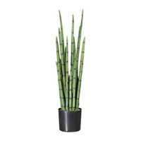 Artplants Deko Sukkulente Sansevieria Cylindrica Vroske, GrüN, 100Cm