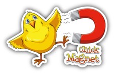 Chick Magnet Car Bumper Sticker Decal