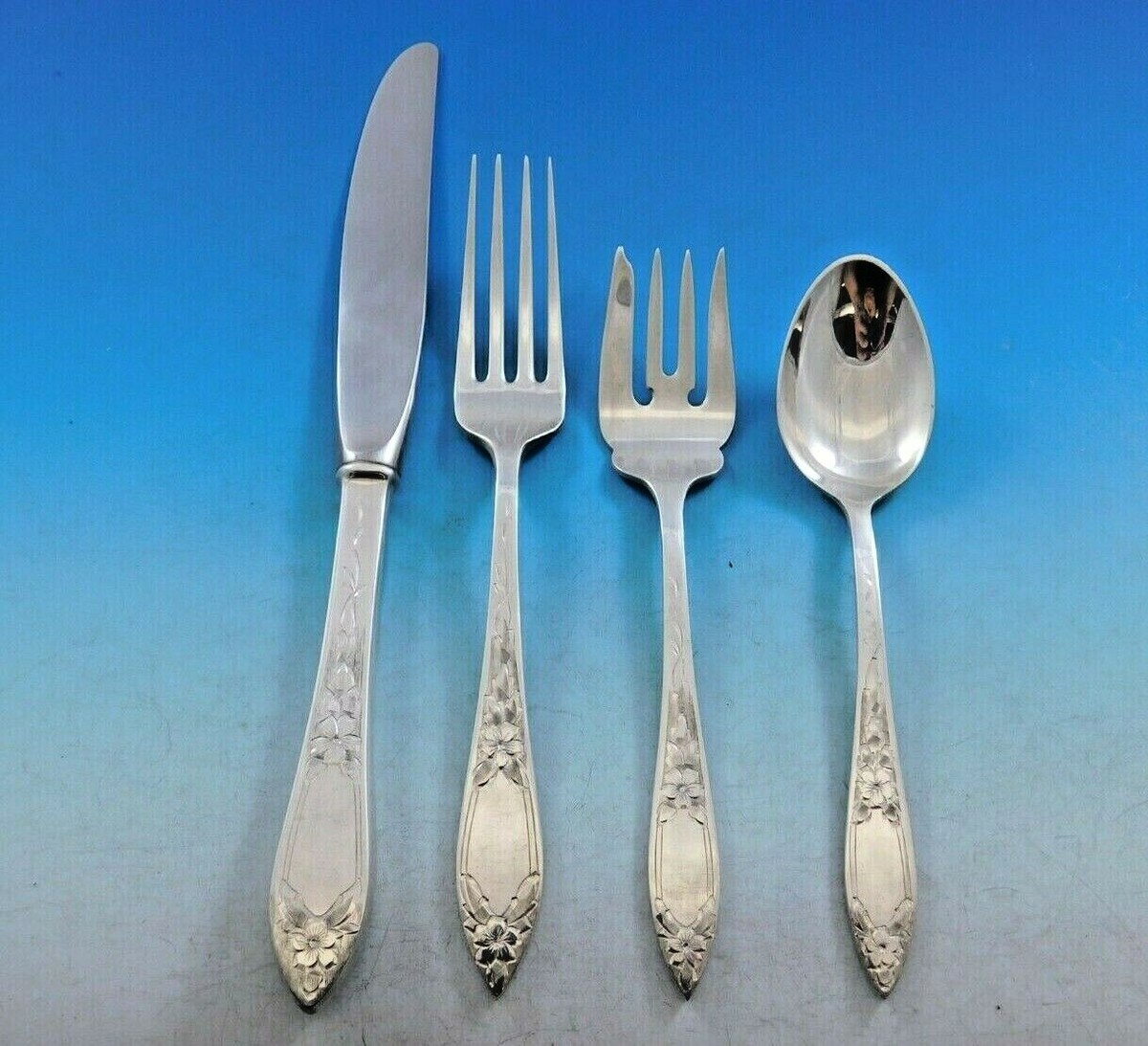 Lady Claire by Stieff Sterling Silver Flatware Set for Service