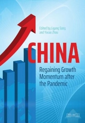Ligang Song China (Taschenbuch) China Update Series