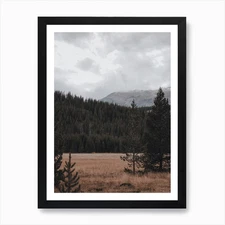 Pine Tree Valley Art Print Framed Wall Art Poster Canvas Print Picture
