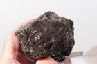 Turkey Stick Agate 15.1 oz lapidary rough lot Nq (Thunderegg Core) — photo 6
