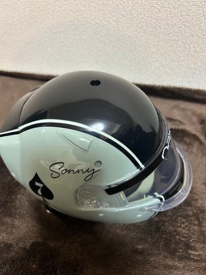 APXGP Sonny 7 ヘルメット F1 THE MOVIE F1 the movie Sonny Hayes Helmet | eBay