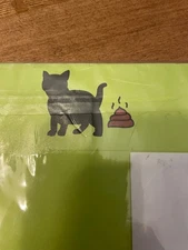 10 disposable cat litter, travel boxes