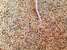 Higgins Supreme parakeet diet food seed mix millets food keet diet