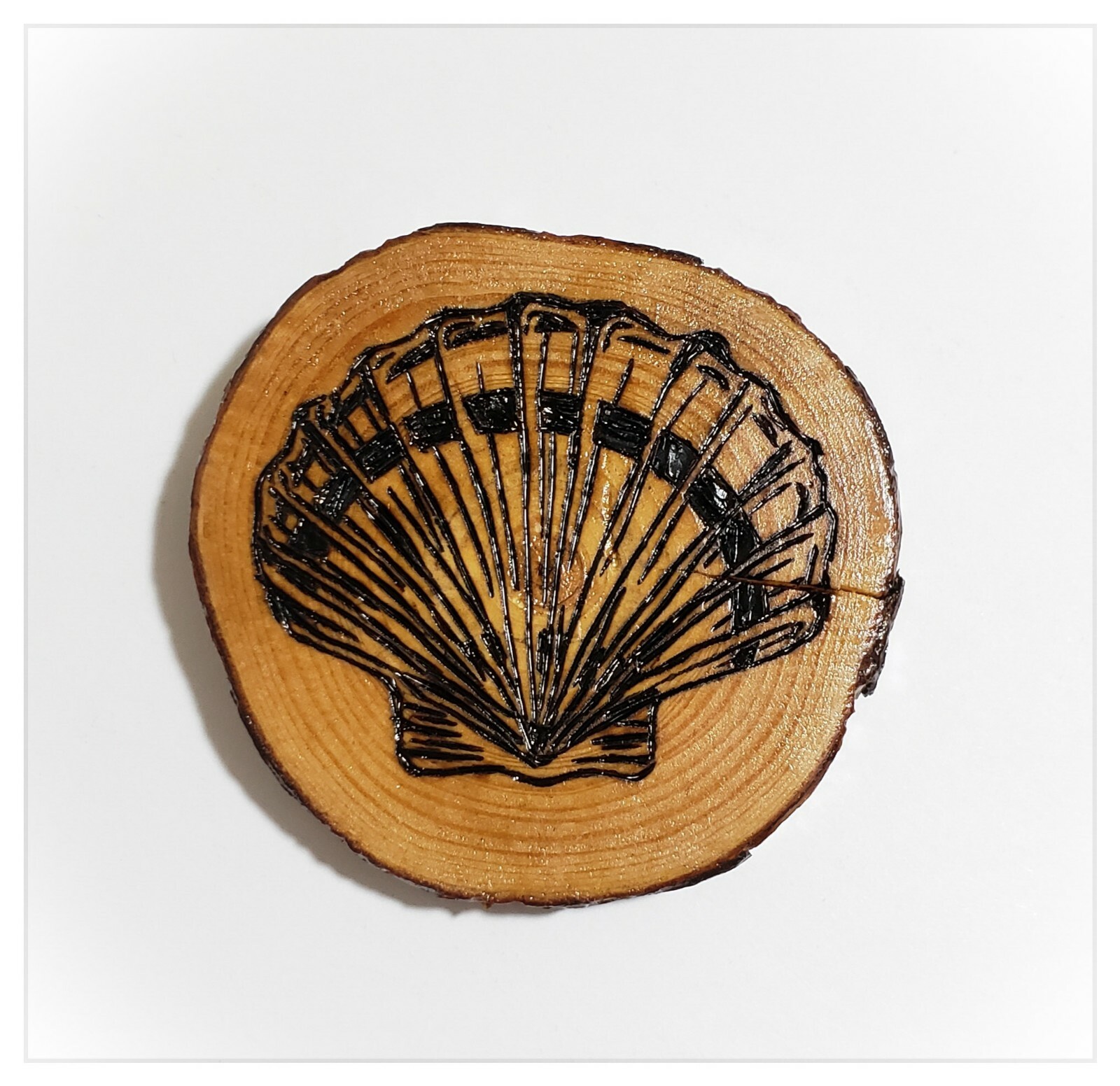 Handmade Sea Shell Wood Burning On Wood Slice Pyrography Wall Decor | eBay