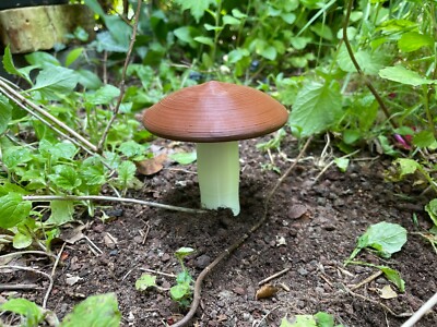Geocache Mushroom Container Geocaching hide secret Watertight