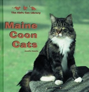 Maine Coon Cats : Everything about Purchase, Care ...