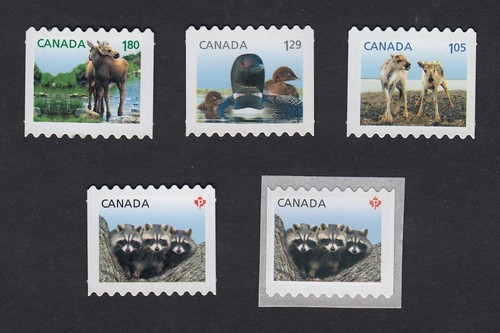 qq. BABY ANIMALS = set of 5 Die Cut coil stamps + large COIL = Canada 2012 MNH