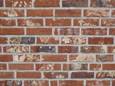 Orig. Feldbrandsteine WDF BH477 rot-blau-bunt Vormauerverblender Feldbrand