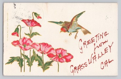 Greetings from Grass Valley California Bird and Flowers c1907 Flocked Postcard