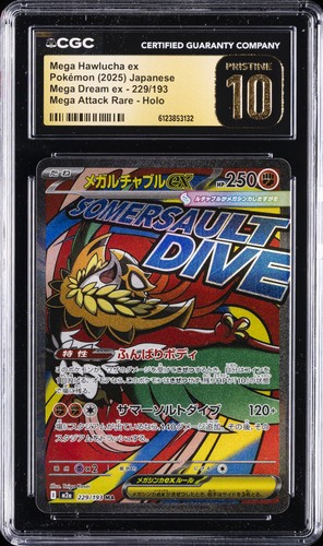 Mega Hawlucha ex