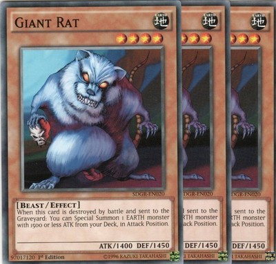 yugioh 3x Giant Rat SDGR-EN020 COMMON 1ST EDITION ENGLISH