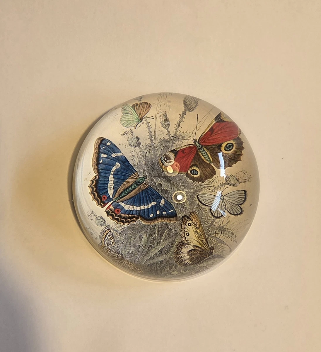John Derian for sale | eBay