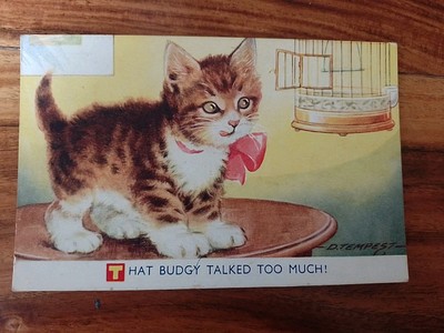 Vintage D Tempest Postkarte - Dieser Budgy sprach zu viel!