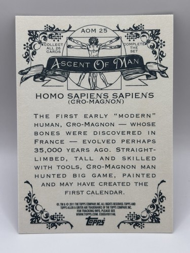 Inserto Topps Allen & Ginter Ascent of Man 2011 #AOM 25 Homo Sapiens casi nuevo - Imagen 2 de 2