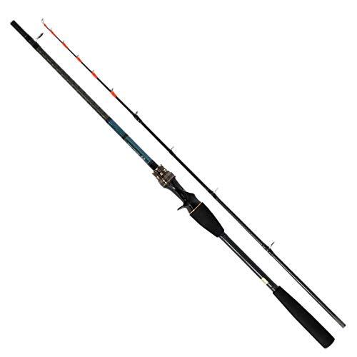 Daiwa Offshore Boat Rod Hairtail X 200-R