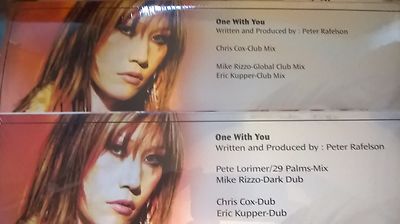 Sun - One With You STILL SEALED Promo 2004 2x12'' parts 1 & 2 29 palms chris cox