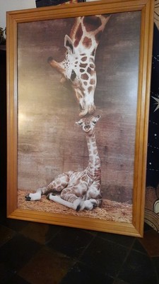 Wooden framed in glass giraffe Picture Mama Kissing baby